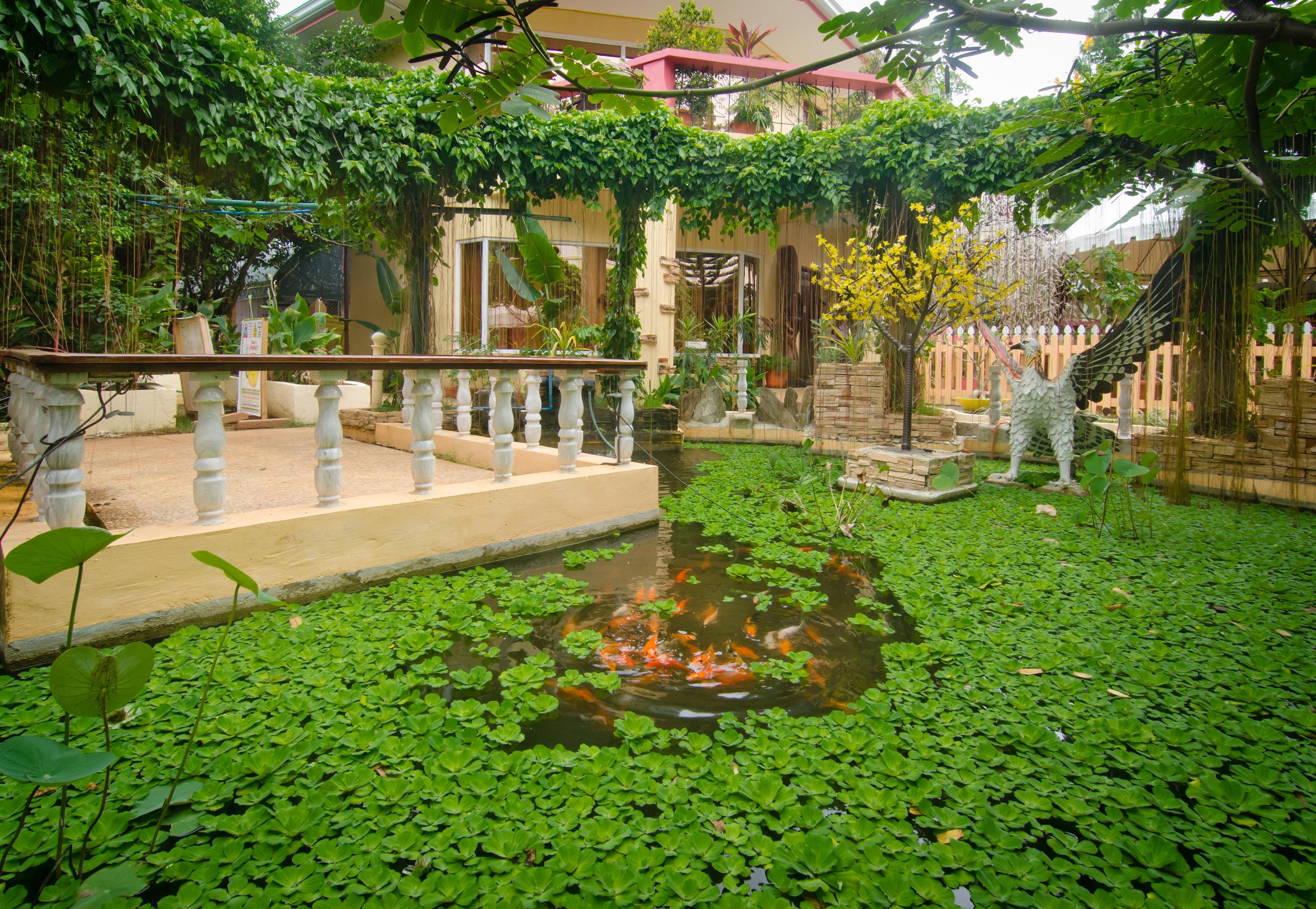 Deep Forest Garden Hotel Puerto Princesa Luaran gambar